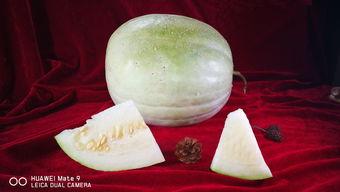 吃三白瓜