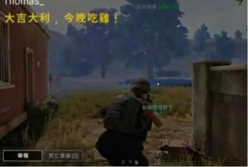 吃鸡嗑瓜,一场别开生面的“嗑瓜”盛宴