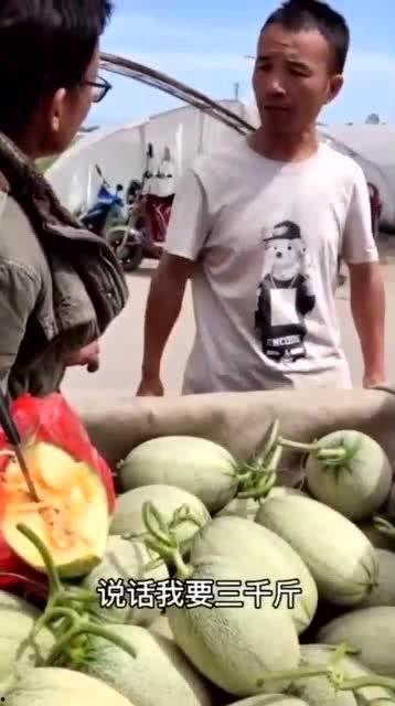 吃自己老板的瓜,揭秘员工与老板之间的神秘瓜葛