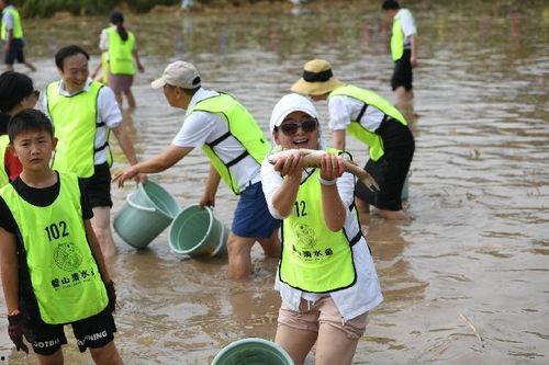 重庆摸鱼吃瓜节,夏日狂欢，休闲体验新风尚