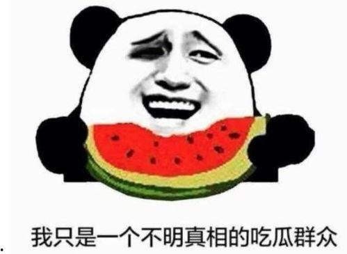 卧底吃瓜,揭秘卧底吃瓜背后的惊心动魄