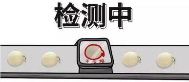 吃瓜群众的案例,揭秘网络舆论背后的真相