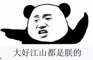 吃瓜群众内部群,一场全民娱乐的狂欢盛宴