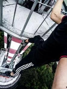 电视塔吃瓜,一场别开生面的“吃瓜”盛宴