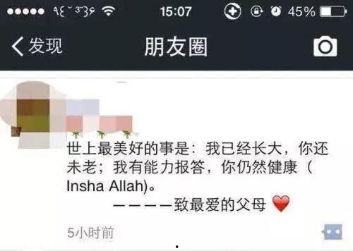 宁波吃瓜事件,一场网络热议背后的真相与反思