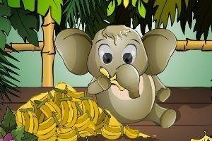 小象玉梅吃瓜,小象玉梅的夏日瓜果盛宴