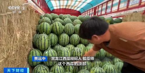 临朐大型吃瓜店,揭秘瓜界传奇，品味夏日清凉