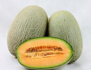 月饼哈密瓜同时吃,传统与现代的味蕾交响