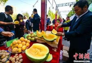 国内最新吃瓜中心,热点事件追踪与深度解析