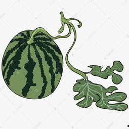 大瓜吃瓜素材图片大全,揭秘娱乐圈幕后故事，海量素材图片大公开