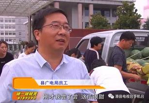 吃瓜群众干部,揭秘基层治理中的“民间侦探”