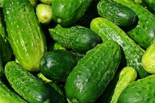 孕妇梦见吃黃瓜,黄瓜寓意着什么？