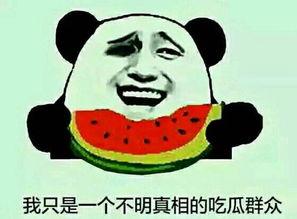 你不是吃瓜群众你是瓜