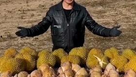 云南在边境吃瓜,边陲瓜果飘香之旅