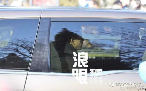 蹲守吃瓜,揭秘娱乐圈幕后真相