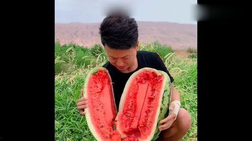 想看吃瓜的视频,那些让人捧腹大笑的吃瓜瞬间