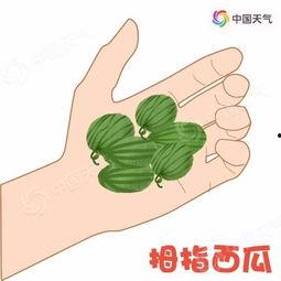 夏天吃瓜图题字