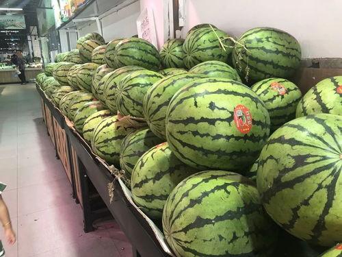 吃瓜金山,揭秘这座城市的瓜果传奇