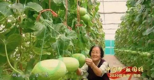 南京吃瓜 事件,一场网络舆论的风波与反思